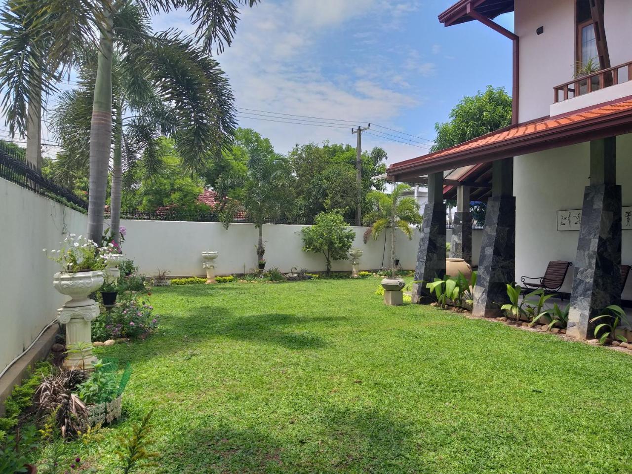 Cosy Nest Home Stay 尼甘布 外观 照片