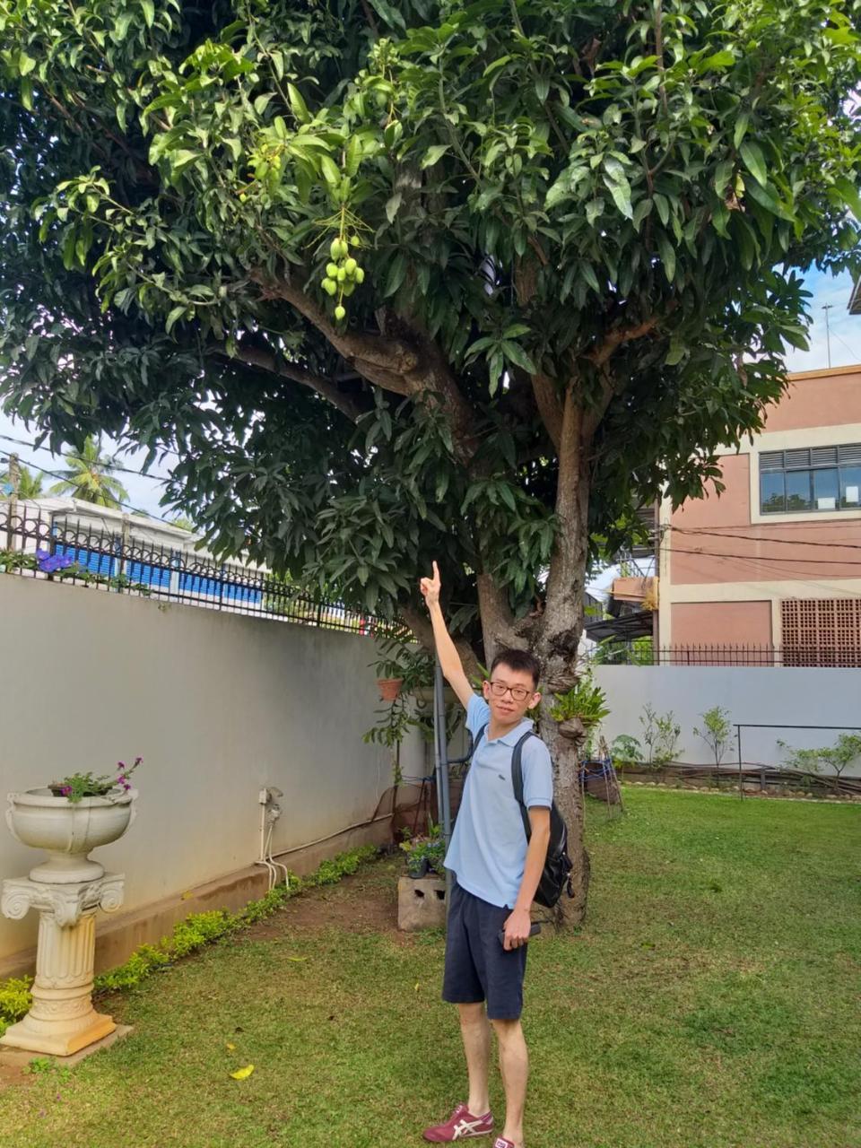 Cosy Nest Home Stay 尼甘布 外观 照片