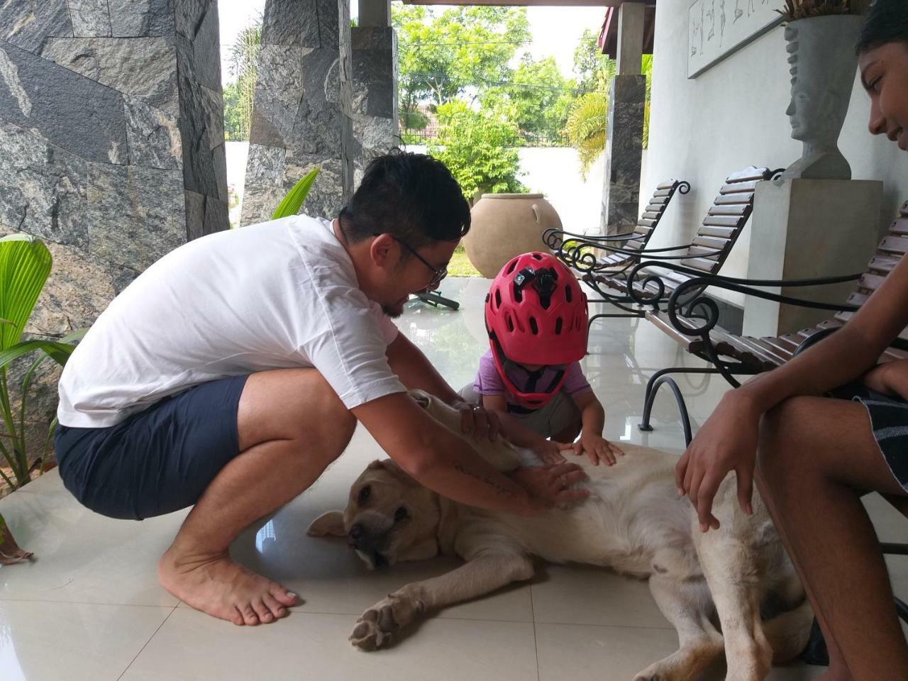 Cosy Nest Home Stay 尼甘布 外观 照片